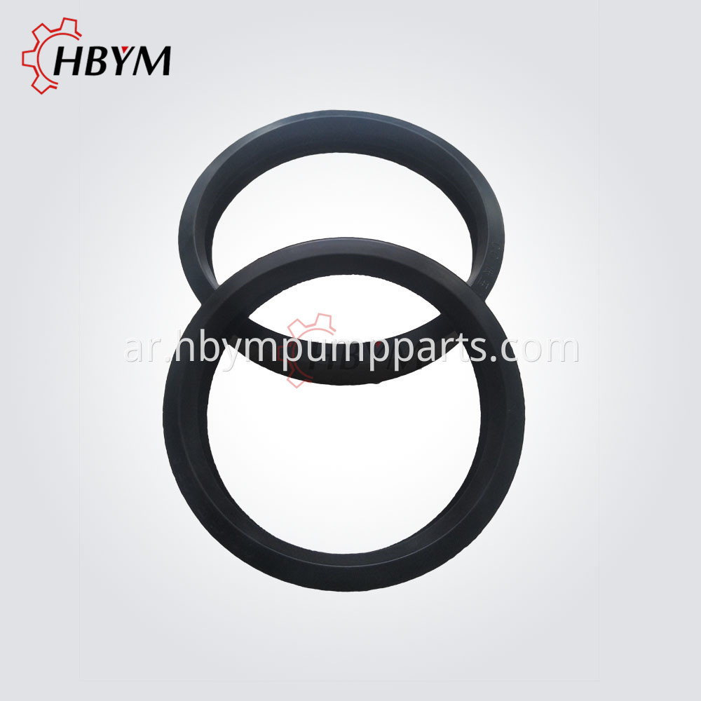 Rubber Gasket 01